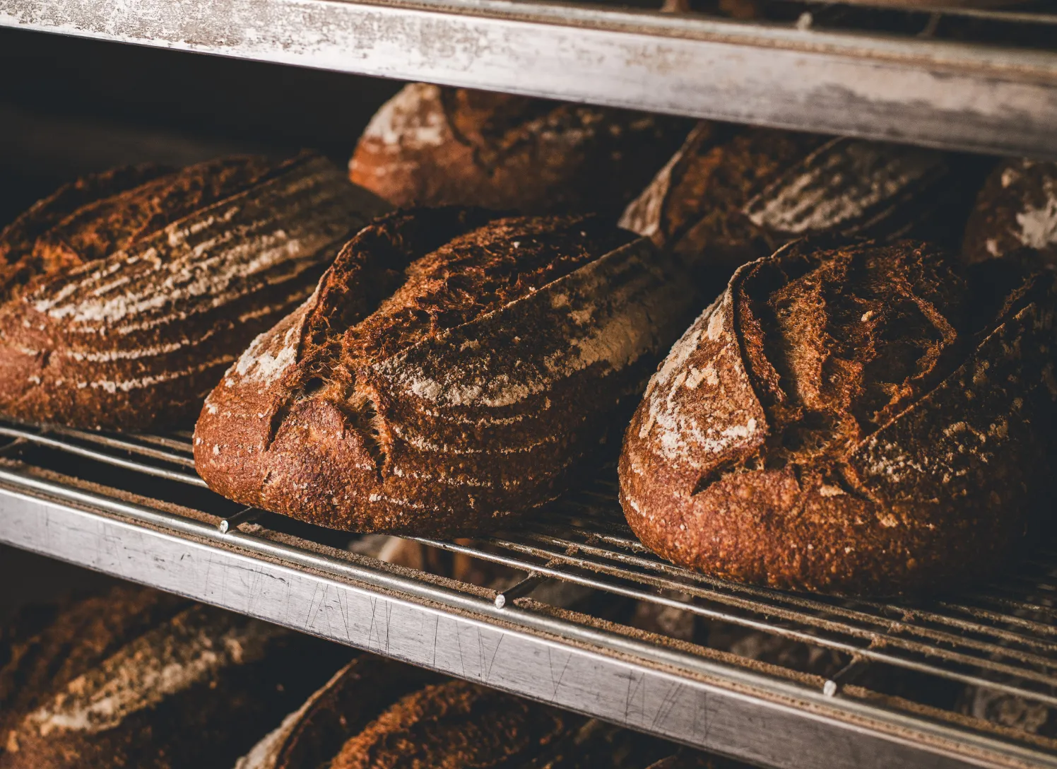 Paul Rhodes sourdough loaves of bread fresh out of the oven on a cooling rack